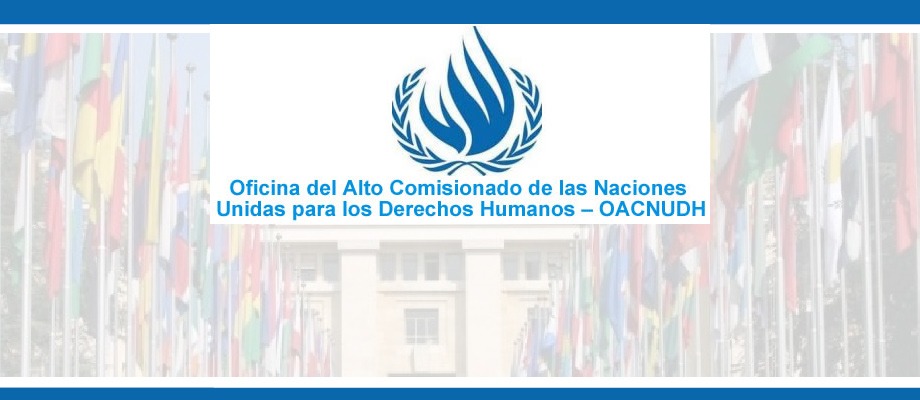 La Oficina Del Alto Comisionado De Naciones Unidas Para Los Derechos ...